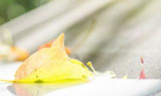 qq个性分组大全女生